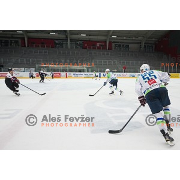 Action during friendly ice hockey match between Slovenia and Japan, played in Podmezakla Hall, Jesenice, Slovenia, on April 15th, 2015.