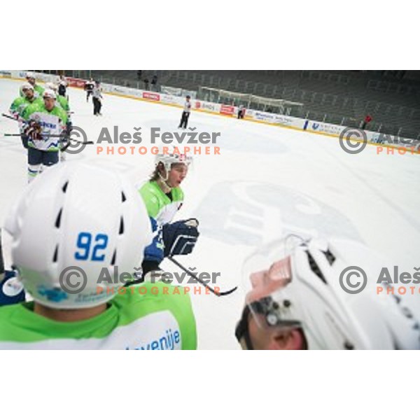 Team Slovenia in action during friendly ice hockey match between Slovenia and Japan, played in Podmezakla Hall, Jesenice, Slovenia, on April 15th, 2015.