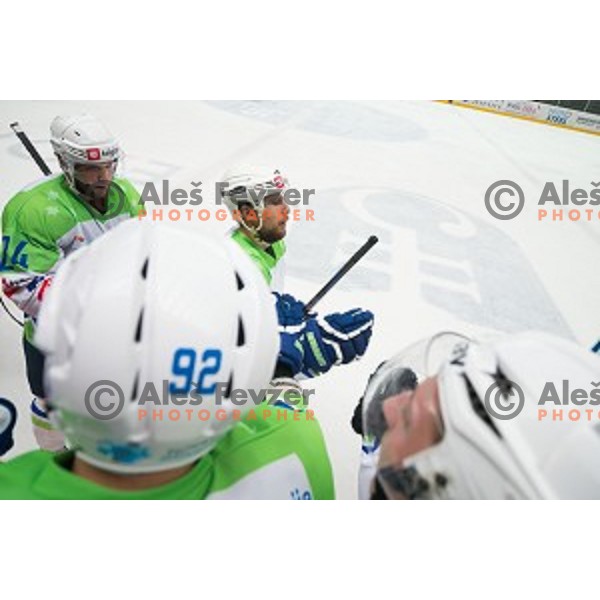 Rok Ticar f Slovenia in action during friendly ice hockey match between Slovenia and Japan, played in Podmezakla Hall, Jesenice, Slovenia, on April 15th, 2015.