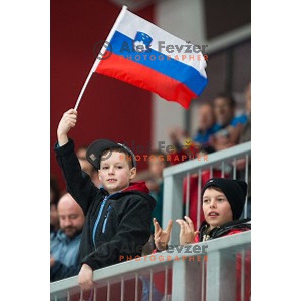 Fans of Slovenia during friendly ice hockey match between Slovenia and Japan, played in Podmezakla Hall, Jesenice, Slovenia, on April 15th, 2015.
