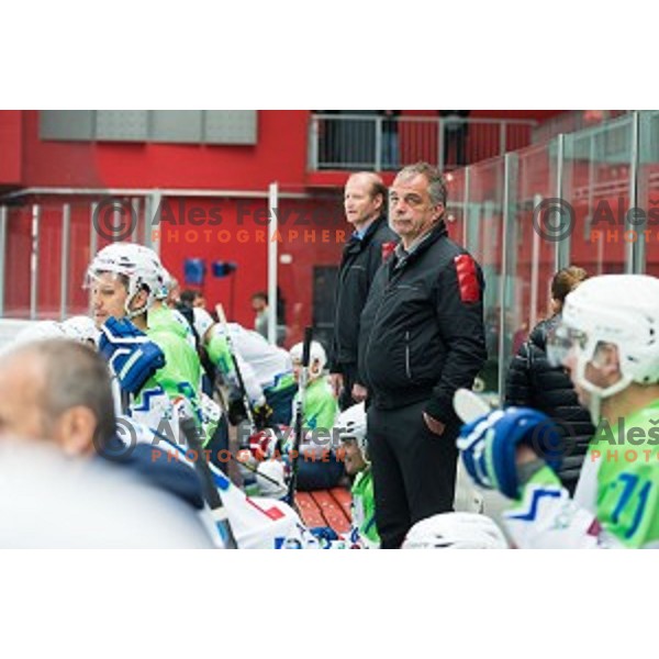 Matjaz Kopitar of Slovenia during friendly ice hockey match between Slovenia and Japan, played in Podmezakla Hall, Jesenice, Slovenia, on April 15th, 2015.