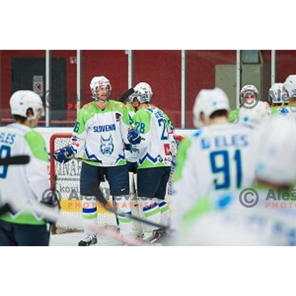 Team Slovenia in action during friendly ice hockey match between Slovenia and Japan, played in Podmezakla Hall, Jesenice, Slovenia, on April 15th, 2015.