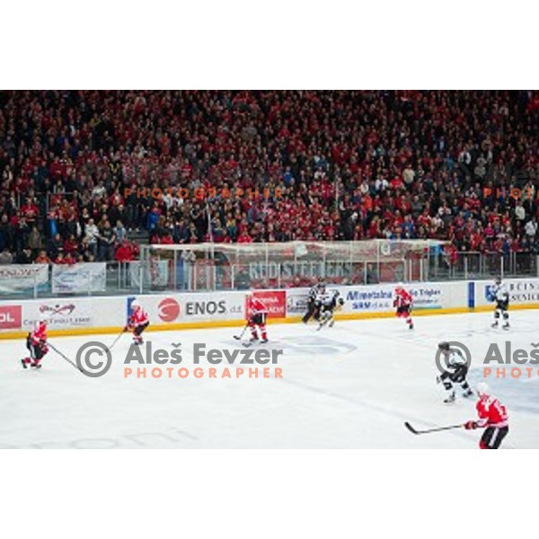 Action during ice hockey final match of Slovenian National League in Season 2014/15 between HDD SIJ Acroni Jesenice and HDD Telemach Olimpija, played in Podmezakla Hall, Jesenice, Slovenia, on April 15th, 2015.