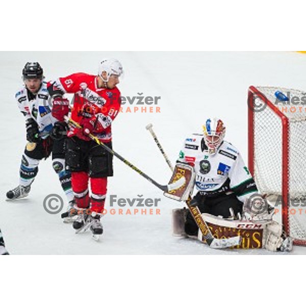 Saso Rajsar of HDD SIJ Acroni Jesenice and Miika Wiikman of HDD Telemach Olimpija in action during ice hockey final match of Slovenian National League in Season 2014/15 between HDD SIJ Acroni Jesenice and HDD Telemach Olimpija, played in Podmezakla Hall, Jesenice, Slovenia, on April 15th, 2015.