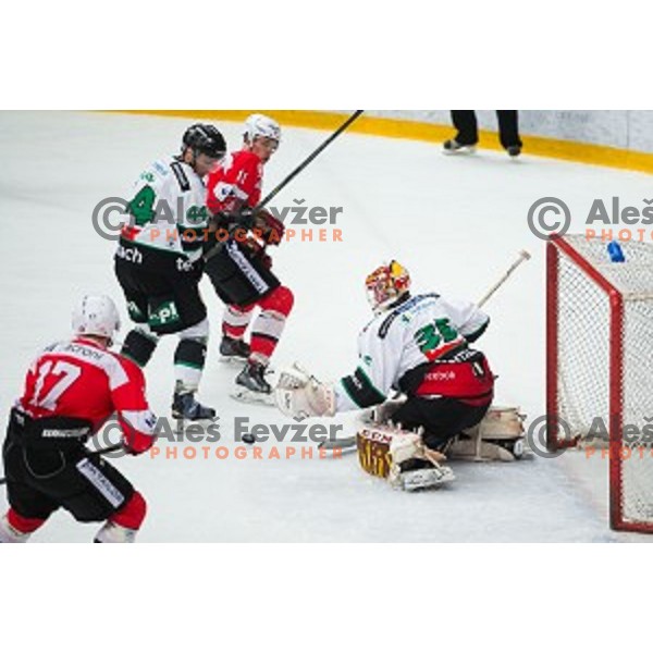 Maks Selan and Miika Wiikmanin of HDD Telemach Olimpija action during ice hockey final match of Slovenian National League in Season 2014/15 between HDD SIJ Acroni Jesenice and HDD Telemach Olimpija, played in Podmezakla Hall, Jesenice, Slovenia, on April 15th, 2015.