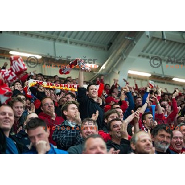 Fans of HDD SIJ Acroni Jesenice during ice hockey final match of Slovenian National League in Season 2014/15 between HDD SIJ Acroni Jesenice and HDD Telemach Olimpija, played in Podmezakla Hall, Jesenice, Slovenia, on April 15th, 2015.