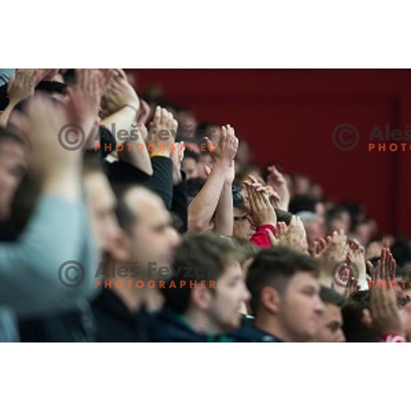 Fans Of HDD SIJ Acroni Jesenice during ice hockey final match of Slovenian National League in Season 2014/15 between HDD SIJ Acroni Jesenice and HDD Telemach Olimpija, played in Podmezakla Hall, Jesenice, Slovenia, on April 15th, 2015.