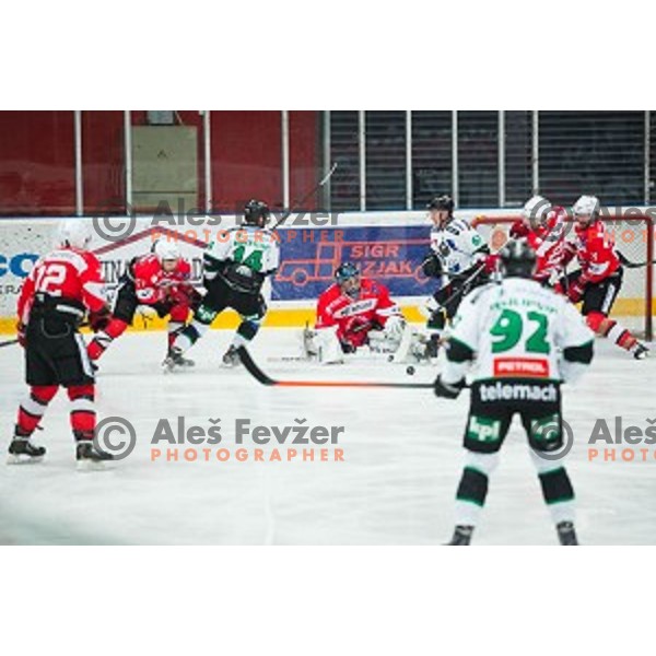 Aleksis Ahlquist of HDD SIJ Acroni Jesenice in action during ice hockey final match of Slovenian National League in Season 2014/15 between HDD SIJ Acroni Jesenice and HDD Telemach Olimpija, played in Podmezakla Hall, Jesenice, Slovenia, on April 15th, 2015.
