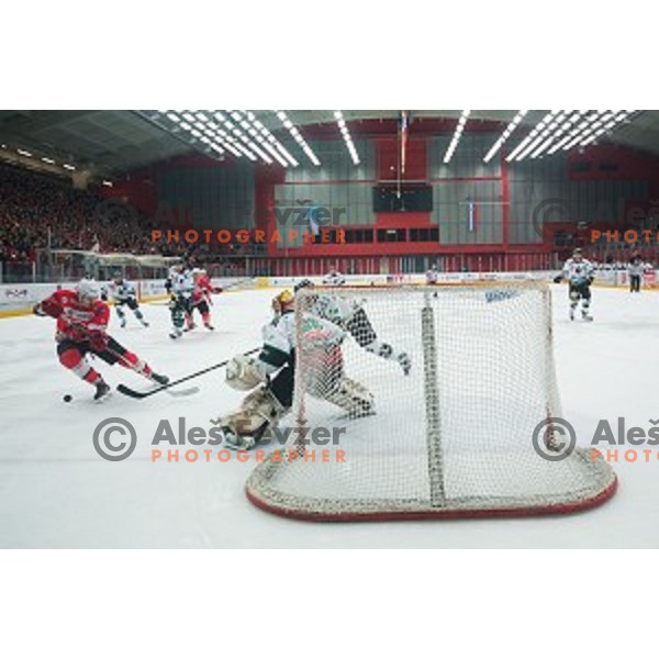 Action during ice hockey final match of Slovenian National League in Season 2014/15 between HDD SIJ Acroni Jesenice and HDD Telemach Olimpija, played in Podmezakla Hall, Jesenice, Slovenia, on April 15th, 2015.