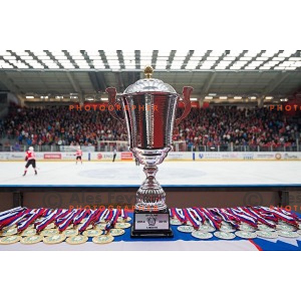 During ice hockey final match of Slovenian National League in Season 2014/15 between HDD SIJ Acroni Jesenice and HDD Telemach Olimpija, played in Podmezakla Hall, Jesenice, Slovenia, on April 15th, 2015.