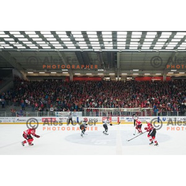 Action during ice hockey final match of Slovenian National League in Season 2014/15 between HDD SIJ Acroni Jesenice and HDD Telemach Olimpija, played in Podmezakla Hall, Jesenice, Slovenia, on April 15th, 2015.