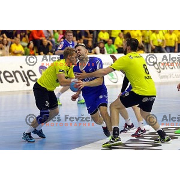 of Celje PL in action during handball match between Gorenje Velenje and Celje Pivovarna Lasko in 1.NLB leasing league, played in Red Hall,Velenje, Slovenia on April 15, 2015