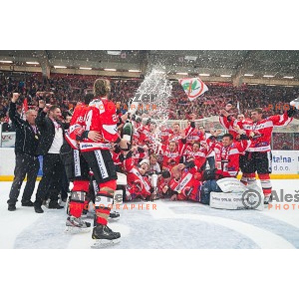 Team HDD SIJ Acroni Jesenice celebrates victory after ice hockey final match of Slovenian National League in Season 2014/15 between HDD SIJ Acroni Jesenice and HDD Telemach Olimpija, played in Podmezakla Hall, Jesenice, Slovenia, on April 15th, 2015.