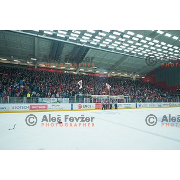Fans of HDD SIJ Acroni Jesenice celebrates victory after ice hockey final match of Slovenian National League in Season 2014/15 between HDD SIJ Acroni Jesenice and HDD Telemach Olimpija, played in Podmezakla Hall, Jesenice, Slovenia, on April 15th, 2015.