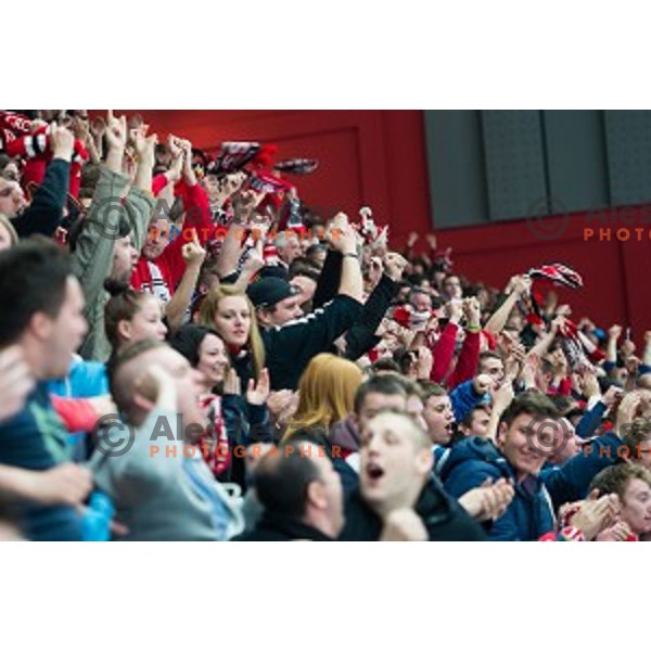 Fans of HDD SIJ Acroni Jesenice during ice hockey final match of Slovenian National League in Season 2014/15 between HDD SIJ Acroni Jesenice and HDD Telemach Olimpija, played in Podmezakla Hall, Jesenice, Slovenia, on April 15th, 2015.
