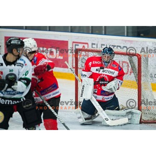 Aleksis Ahlquist of HDD SIJ Acroni Jesenice in action during ice hockey final match of Slovenian National League in Season 2014/15 between HDD SIJ Acroni Jesenice and HDD Telemach Olimpija, played in Podmezakla Hall, Jesenice, Slovenia, on April 15th, 2015.