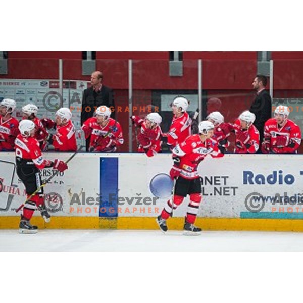 Team HDD SIJ Acroni jesenice in action during ice hockey final match of Slovenian National League in Season 2014/15 between HDD SIJ Acroni Jesenice and HDD Telemach Olimpija, played in Podmezakla Hall, Jesenice, Slovenia, on April 15th, 2015.