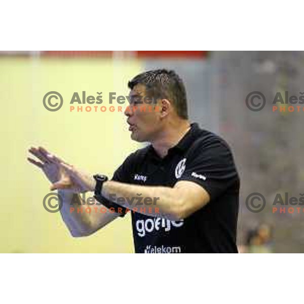 action during 1.NLB leasing league handball match between Gorenje Velenje and Celje Pivovarna Lasko in Red Hall, Velenje, Slovenija on April 15, 2015