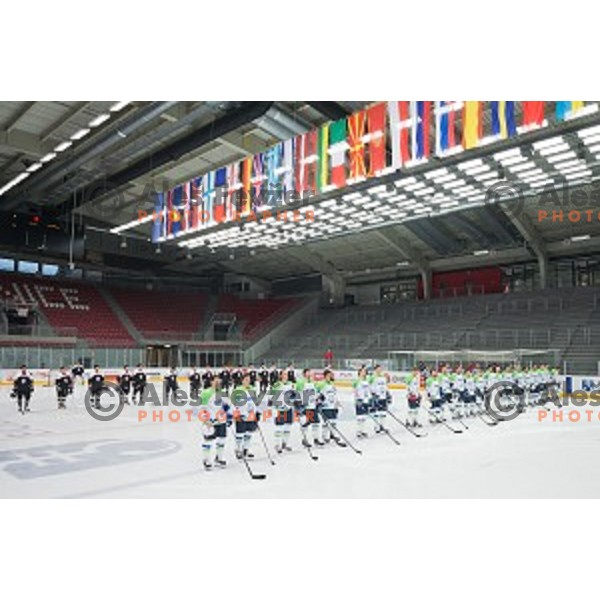 Team Slovenia during friendly ice hockey match between Slovenia and Japan, played in Podmezakla Hall, Jesenice, Slovenia, on April 15th, 2015.