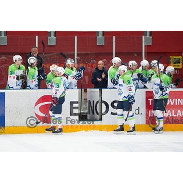 Team Slovenia in action during friendly ice hockey match between Slovenia and Japan, played in Podmezakla Hall, Jesenice, Slovenia, on April 15th, 2015.