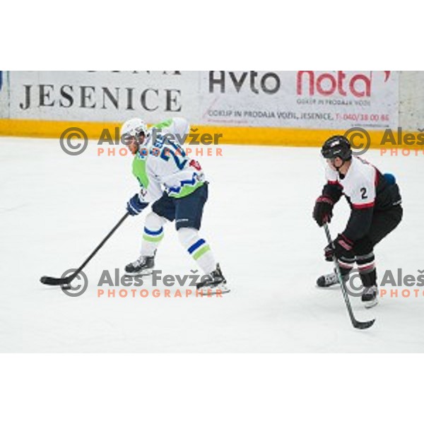 Rok Ticar of Slovenia in action during friendly ice hockey match between Slovenia and Japan, played in Podmezakla Hall, Jesenice, Slovenia, on April 15th, 2015.