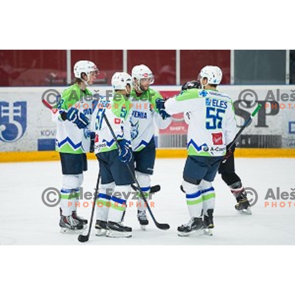 Team Slovenia in action during friendly ice hockey match between Slovenia and Japan, played in Podmezakla Hall, Jesenice, Slovenia, on April 15th, 2015.