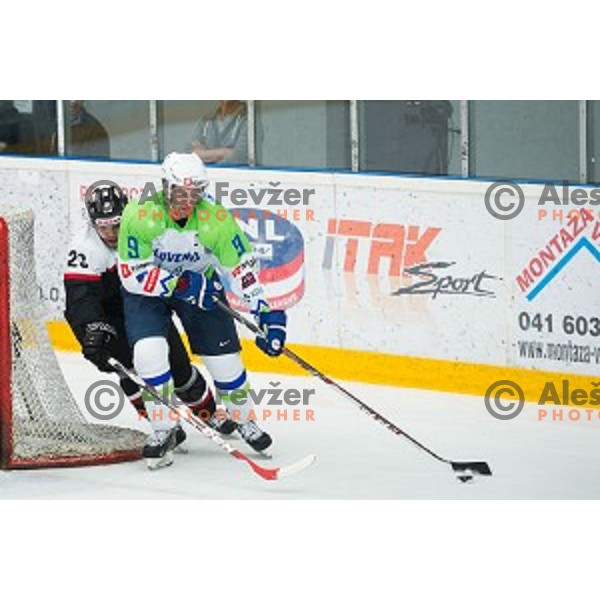 Tomaz Razingar of Slovenia in action during friendly ice hockey match between Slovenia and Japan, played in Podmezakla Hall, Jesenice, Slovenia, on April 15th, 2015.