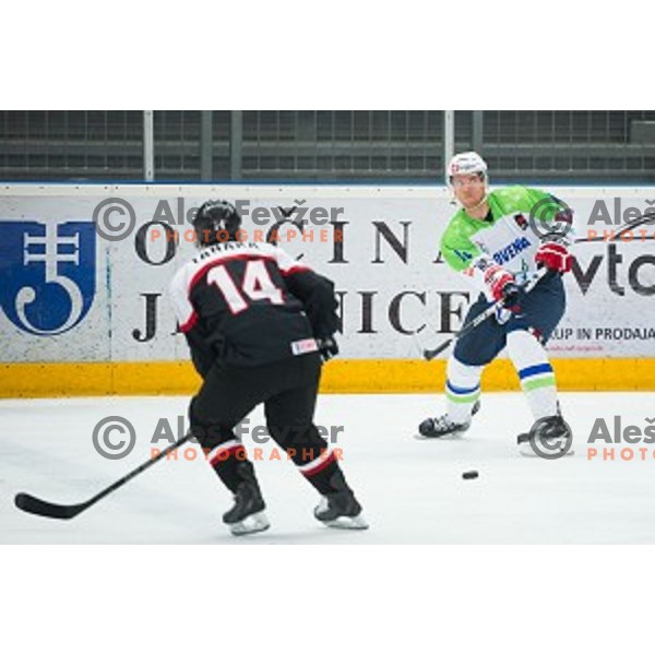 luka Vidmar of Slovenia in action during friendly ice hockey match between Slovenia and Japan, played in Podmezakla Hall, Jesenice, Slovenia, on April 15th, 2015.
