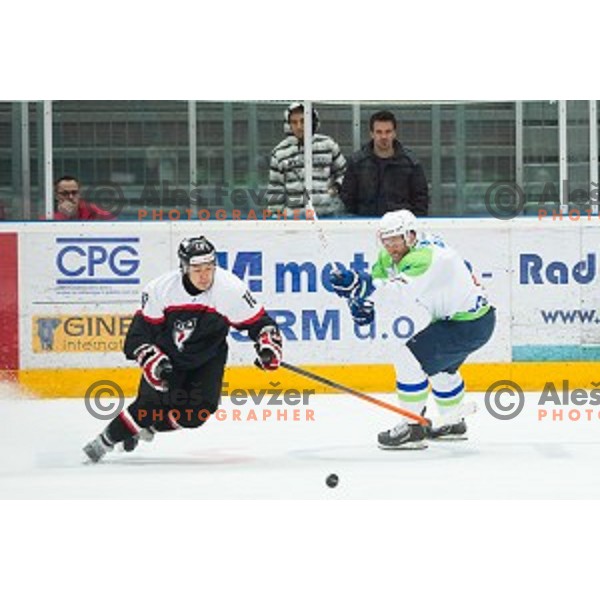 Action during friendly ice hockey match between Slovenia and Japan, played in Podmezakla Hall, Jesenice, Slovenia, on April 15th, 2015.