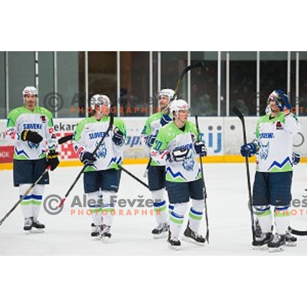 Team Slovenia in action during friendly ice hockey match between Slovenia and Japan, played in Podmezakla Hall, Jesenice, Slovenia, on April 15th, 2015.