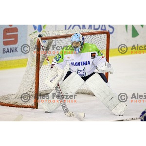 of Slovenia in action during friendly ice-hockey match between Slovenia-Austria in Tivoli Hall, Ljubljana, Slovenia on April 19, 2015