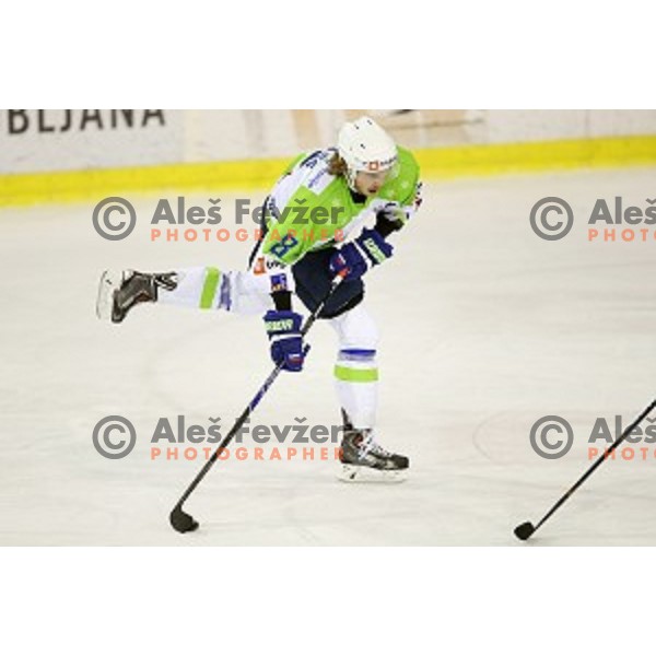 of Slovenia in action during friendly ice-hockey match between Slovenia-Austria in Tivoli Hall, Ljubljana, Slovenia on April 19, 2015