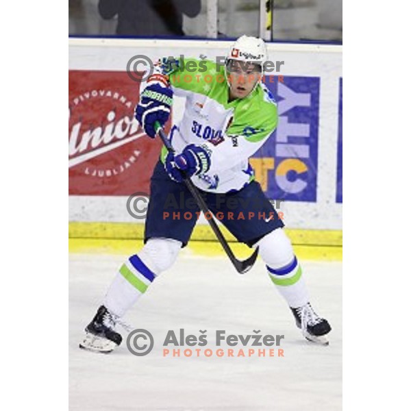 of Slovenia in action during friendly ice-hockey match between Slovenia-Austria in Tivoli Hall, Ljubljana, Slovenia on April 19, 2015
