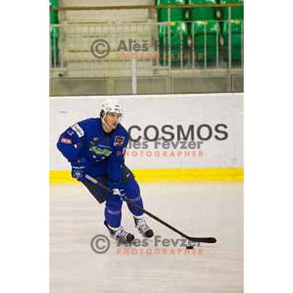 Anze Kopitar during Slovenia National Ice Hockey Team practice session in Tivoli Hall, Ljubljana, Slovenia, on April 21, 2015