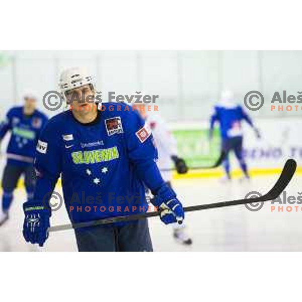 Anze Kopitar during Slovenia National Ice Hockey Team practice session in Tivoli Hall, Ljubljana, Slovenia, on April 21, 2015