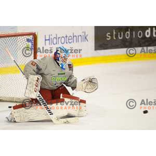 Luka Gracnar during training of Slovenian National Ice Hockey Team in Tivoli Hall, Ljubljana, Slovenia, on April 21, 2015