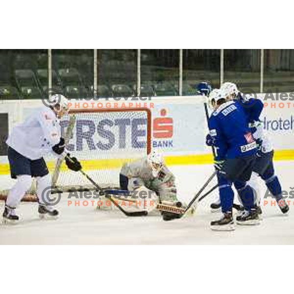 During training of Slovenian National Ice Hockey Team in Tivoli Hall, Ljubljana, Slovenia, on April 21, 2015