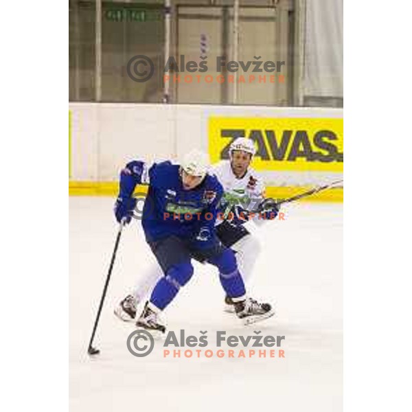 Anze Kopitar during Slovenia National Ice Hockey Team practice session in Tivoli Hall, Ljubljana, Slovenia, on April 21, 2015