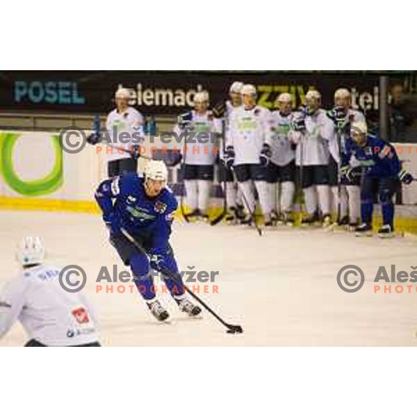 Anze Kopitar during Slovenia National Ice Hockey Team practice session in Tivoli Hall, Ljubljana, Slovenia, on April 21, 2015