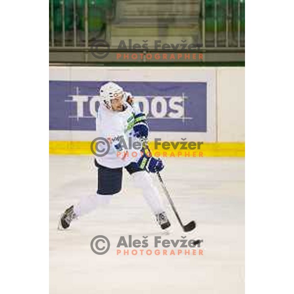 During training of Slovenian National Ice Hockey Team in Tivoli Hall, Ljubljana, Slovenia, on April 21, 2015