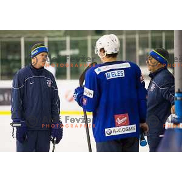 Nik Zupancic and Matjaz Kopitar during training of Slovenian National Ice Hockey Team in Tivoli Hall, Ljubljana, Slovenia, on April 21, 2015