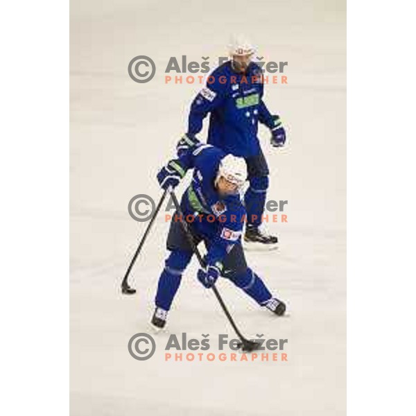 During training of Slovenian National Ice Hockey Team in Tivoli Hall, Ljubljana, Slovenia, on April 21, 2015
