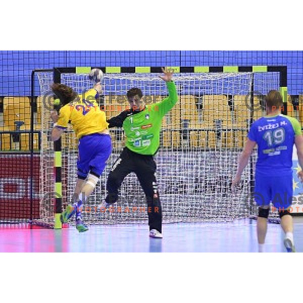 of Slovenia in action during handball match Slovenia-Sweden in qualification for 2016 European Championships played in Zlatorog Hall, Celje, Slovenia on May 3, 2015