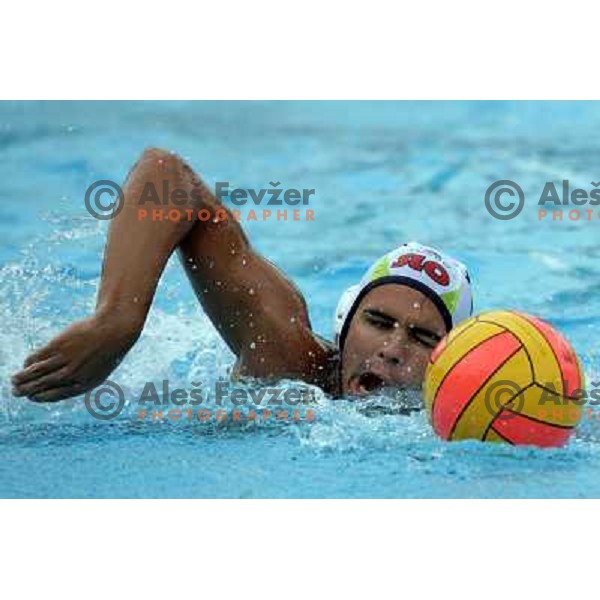 Pus at match Slovenia-Montenegro played at Tristar waterpolo tournament in Kranj, Slovenia 18.8.2007.Photo by Ales Fevzer 