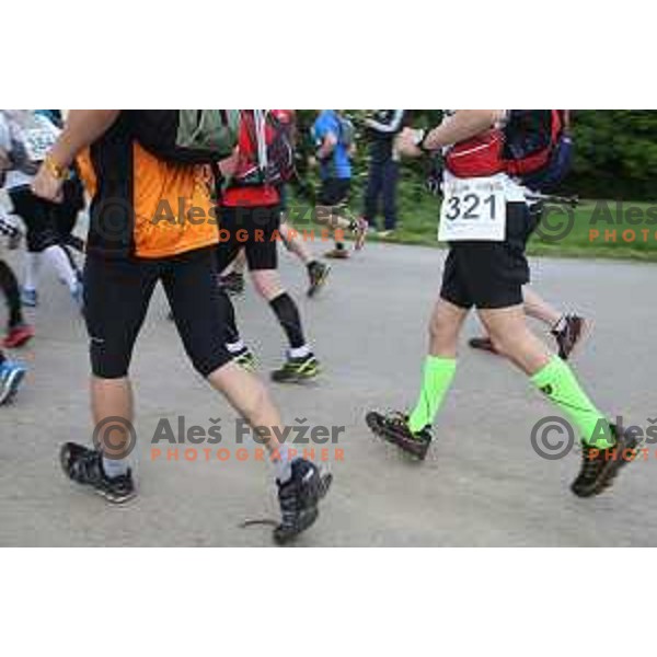 First edition of 100 km Ultra trail Vipava Valley with more than 400 runners at 25 km, 50 km and 100 km distance with spectacular 360 degrees view over Vipava Valley on May 9, 2015