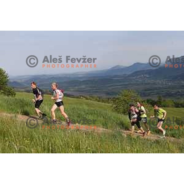First edition of 100 km Ultra trail Vipava Valley with more than 400 runners at 25 km, 50 km and 100 km distance with spectacular 360 degrees view over Vipava Valley on May 9, 2015