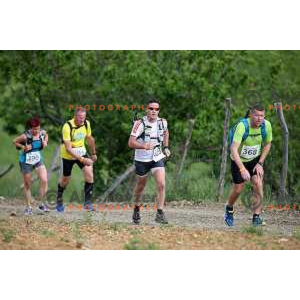First edition of 100 km Ultra trail Vipava Valley with more than 400 runners at 25 km, 50 km and 100 km distance with spectacular 360 degrees view over Vipava Valley on May 9, 2015