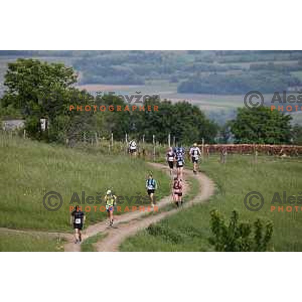 First edition of 100 km Ultra trail Vipava Valley with more than 400 runners at 25 km, 50 km and 100 km distance with spectacular 360 degrees view over Vipava Valley on May 9, 2015