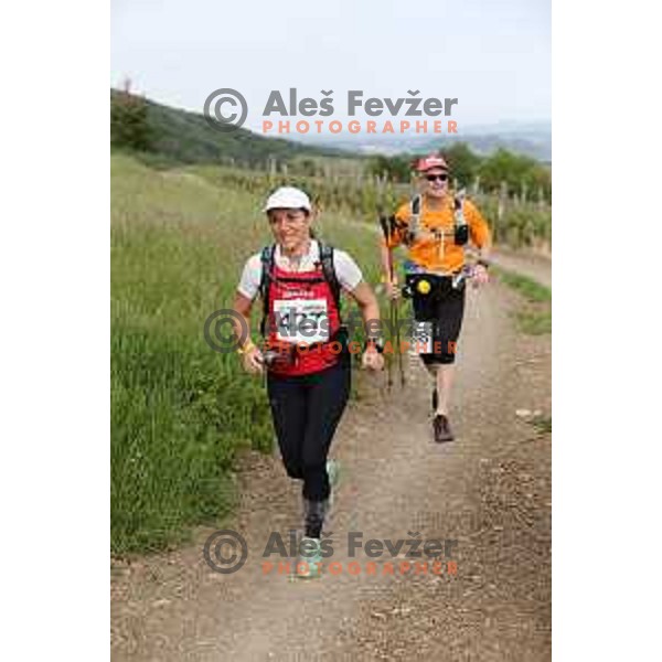 First edition of 100 km Ultra trail Vipava Valley with more than 400 runners at 25 km, 50 km and 100 km distance with spectacular 360 degrees view over Vipava Valley on May 9, 2015