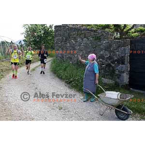 First edition of 100 km Ultra trail Vipava Valley with more than 400 runners at 25 km, 50 km and 100 km distance with spectacular 360 degrees view over Vipava Valley on May 9, 2015